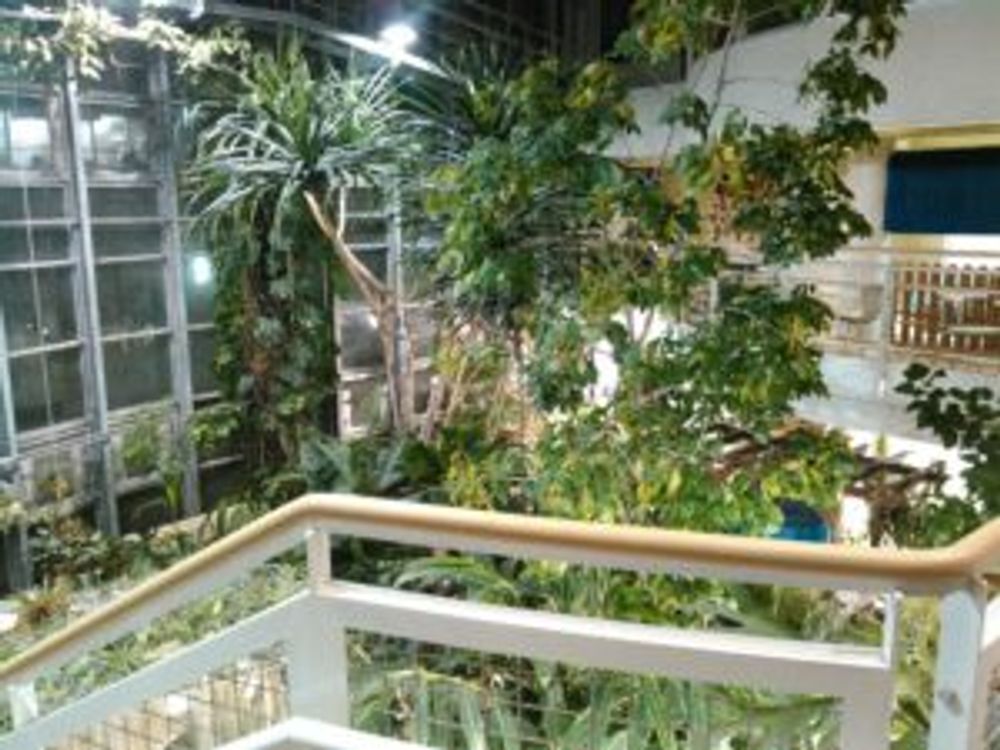 Photo by クマさん