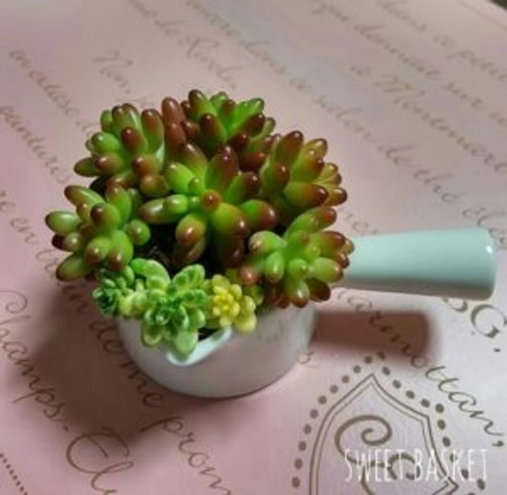 Photo by sweetbasketさん