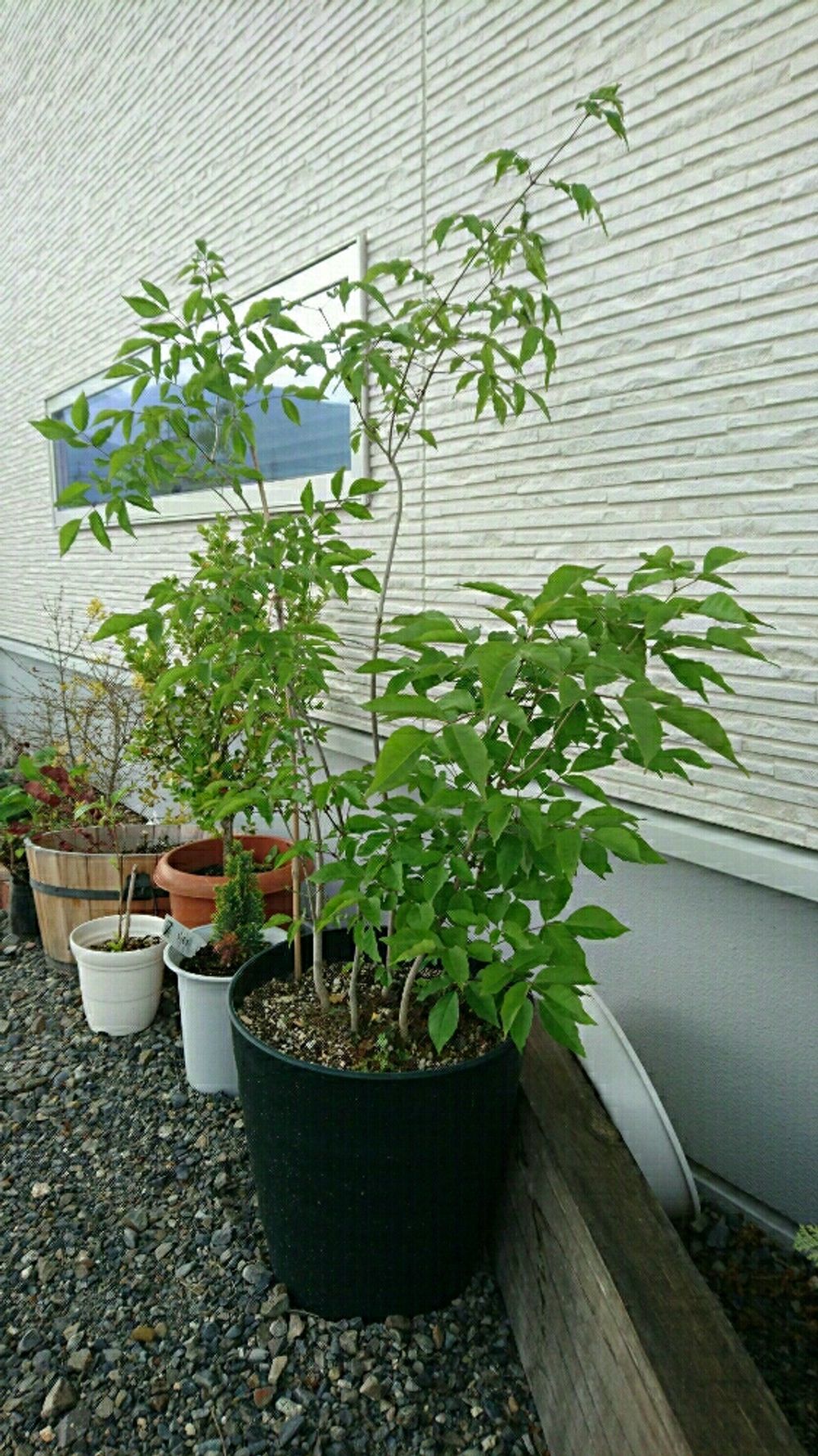 Photo by ruttakuruttaさん