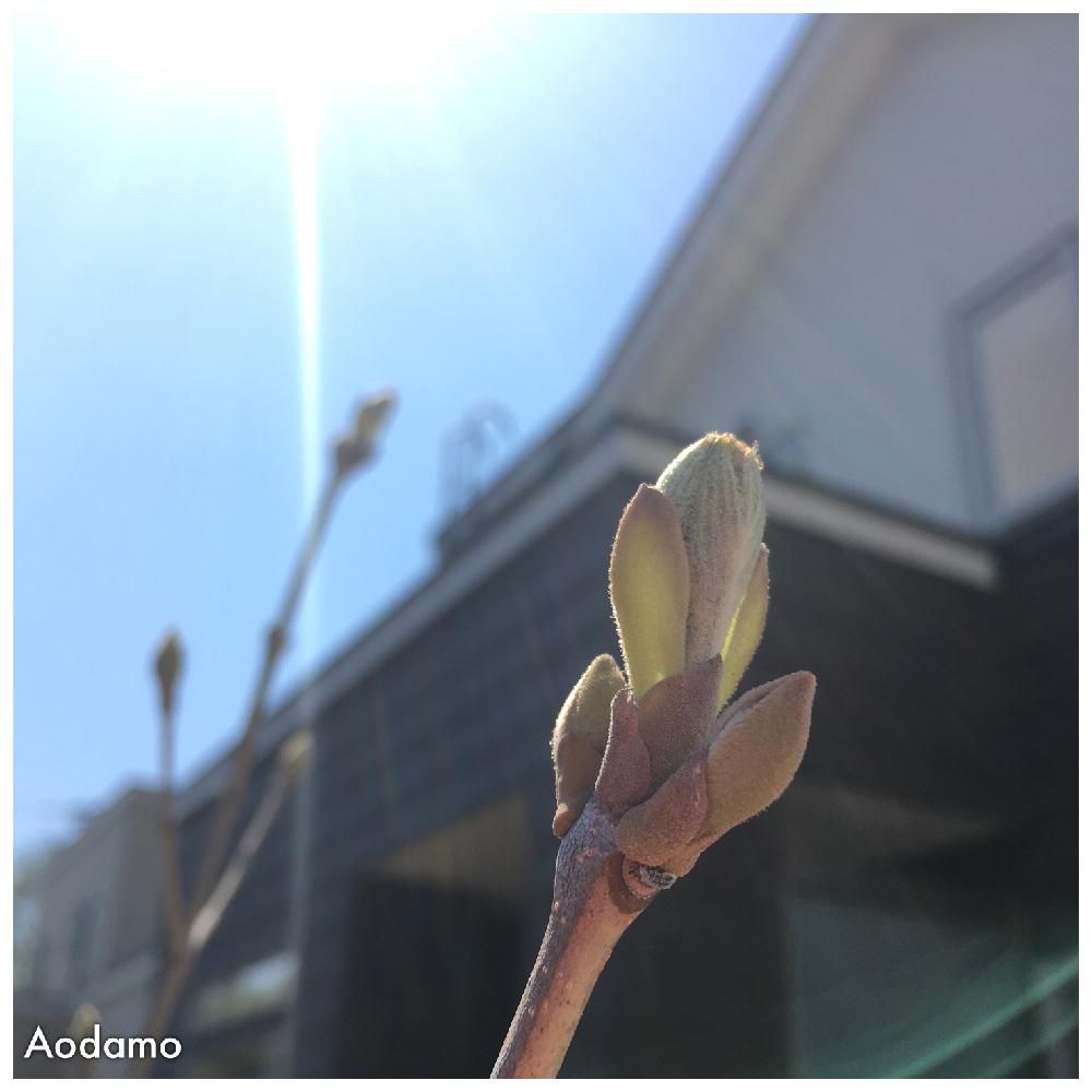 Photo by ロングさん