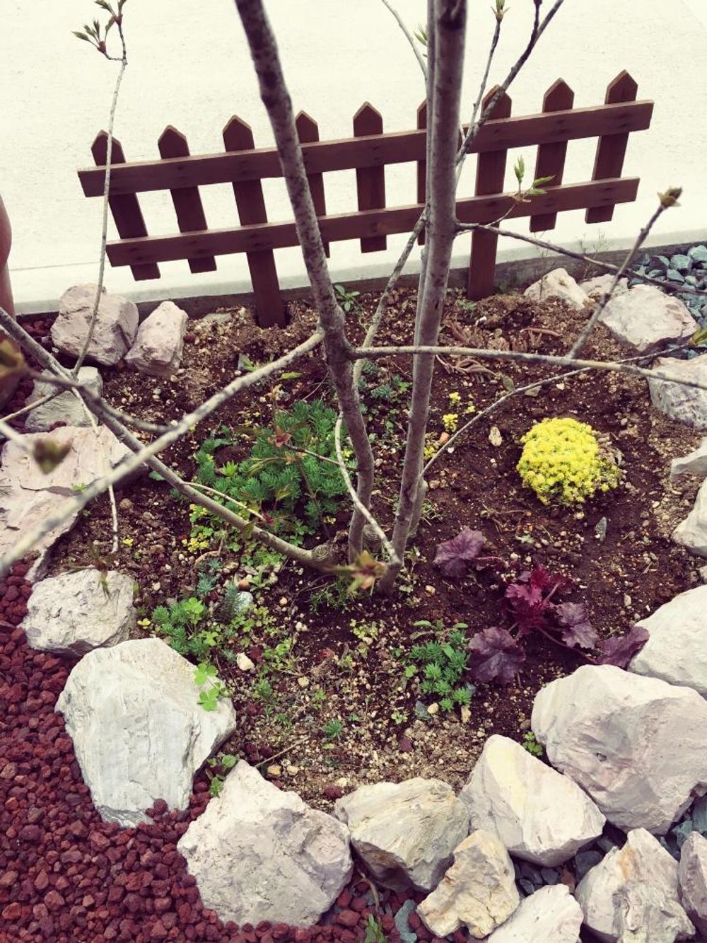 Photo by ゆこゆこさん