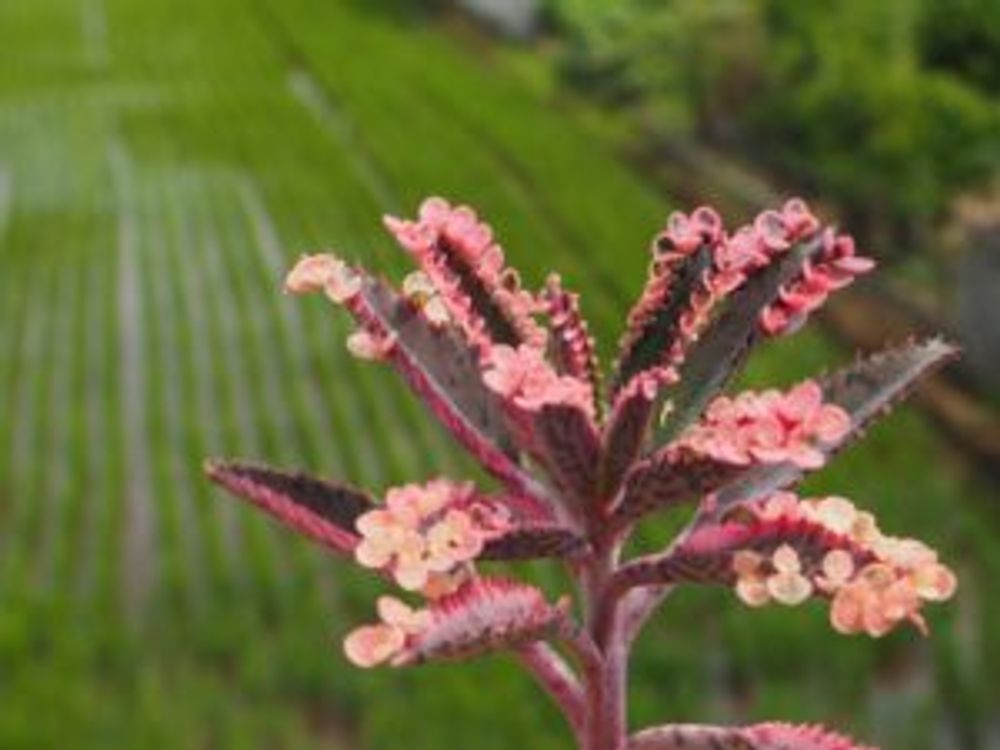 Photo by るいままさん