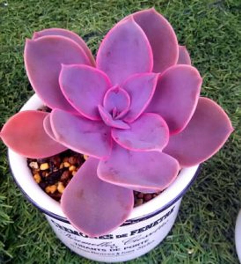 Photo by えみちんさん