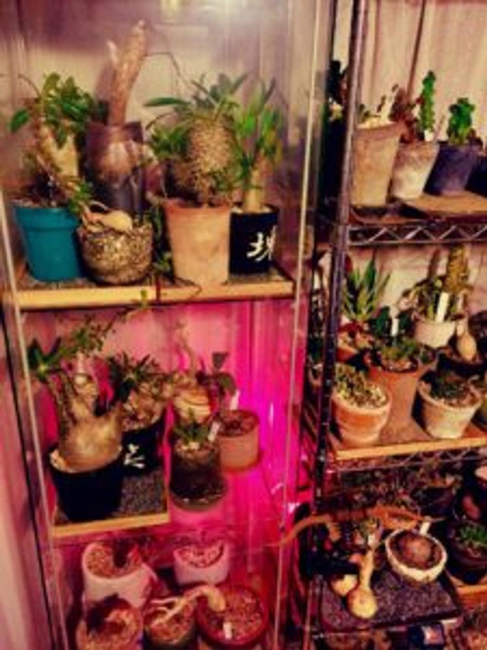 Photo by コーイチローさん