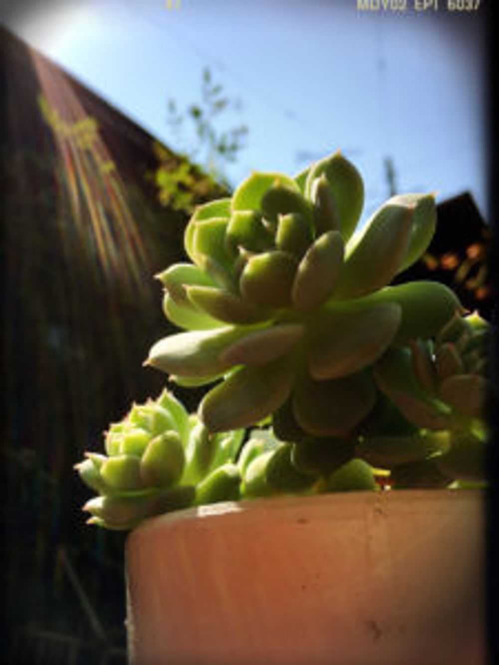 Photo by ゆずさん