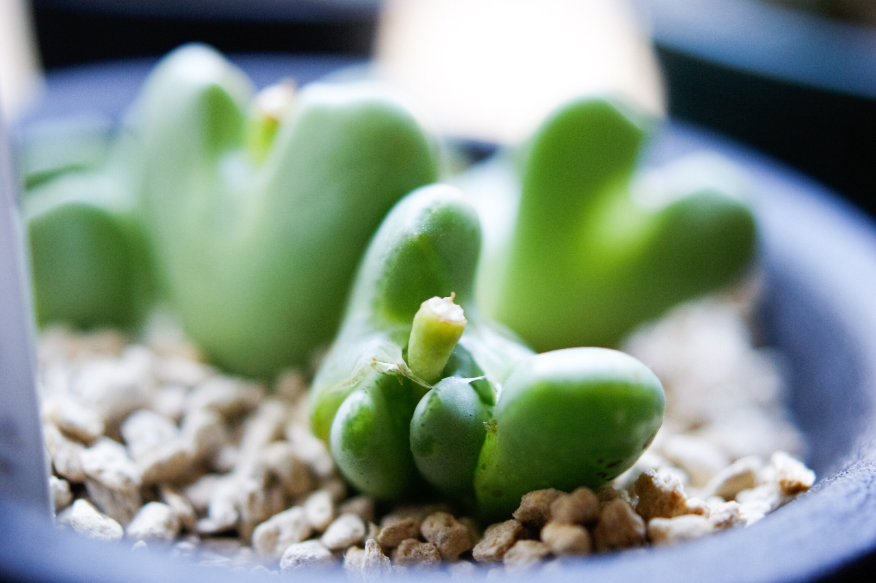 1490177426766_photo.jpg?d=500x500