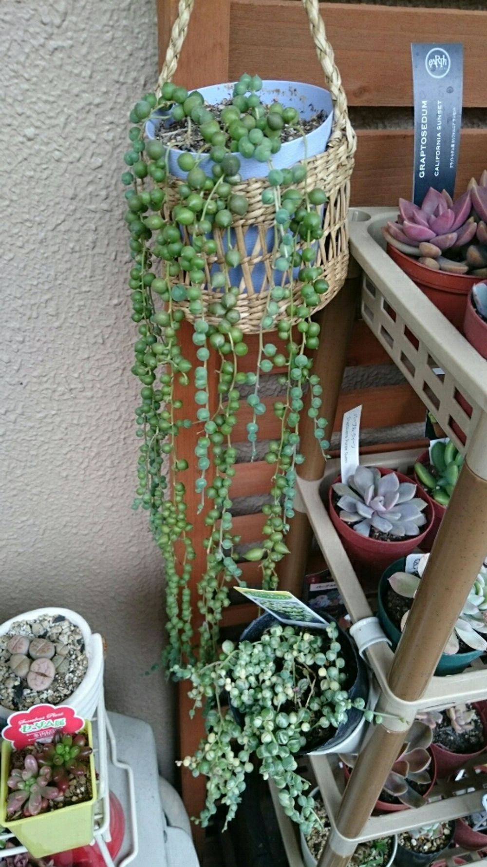 Photo by まっちゃんさん