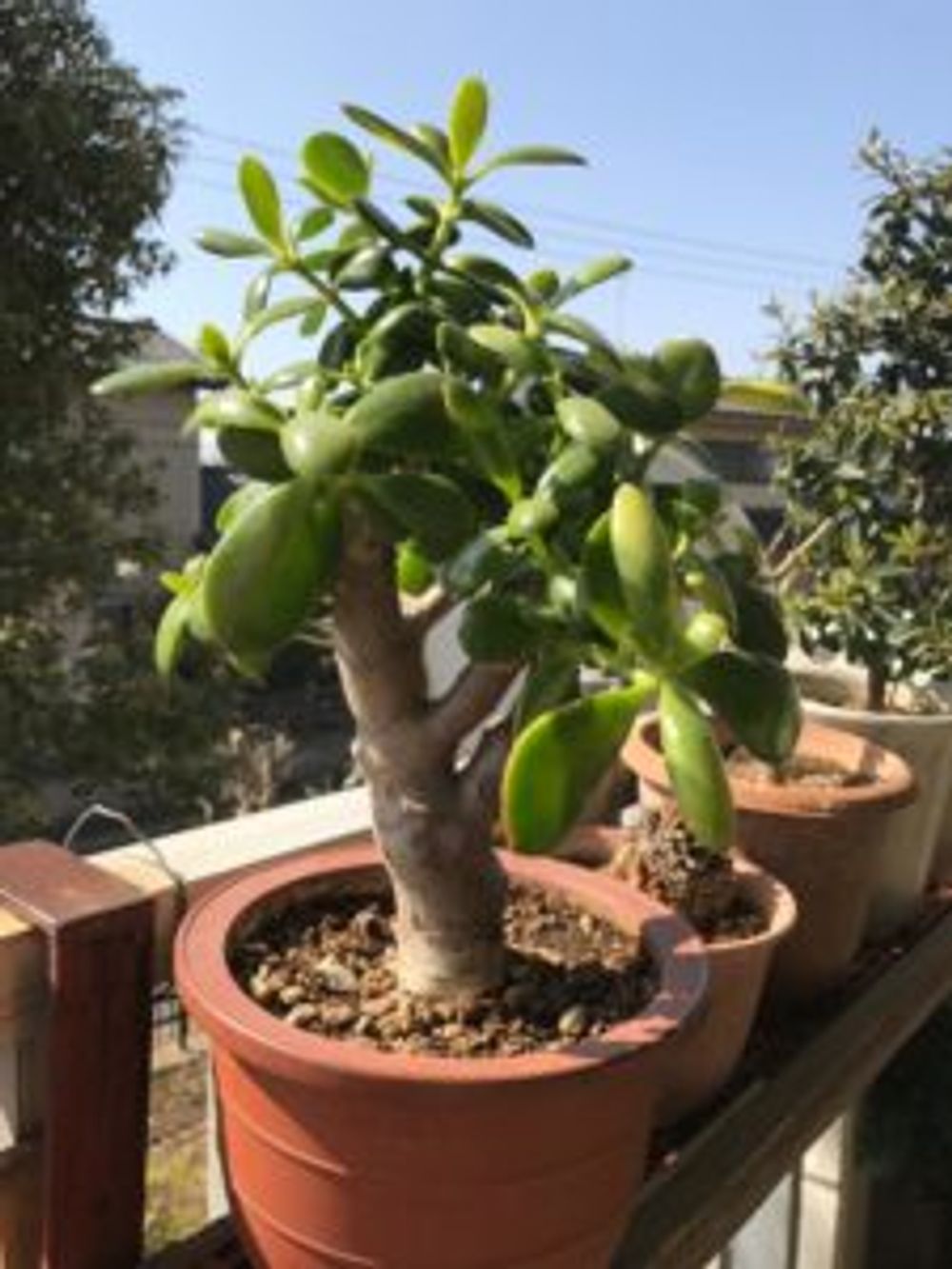 Photo by さとんさん