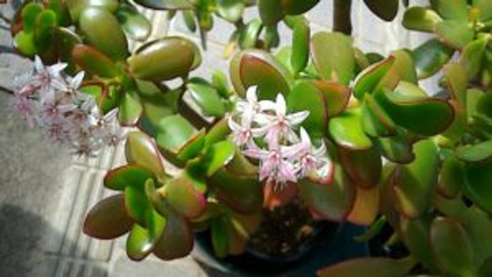 Photo by ふみふみさん