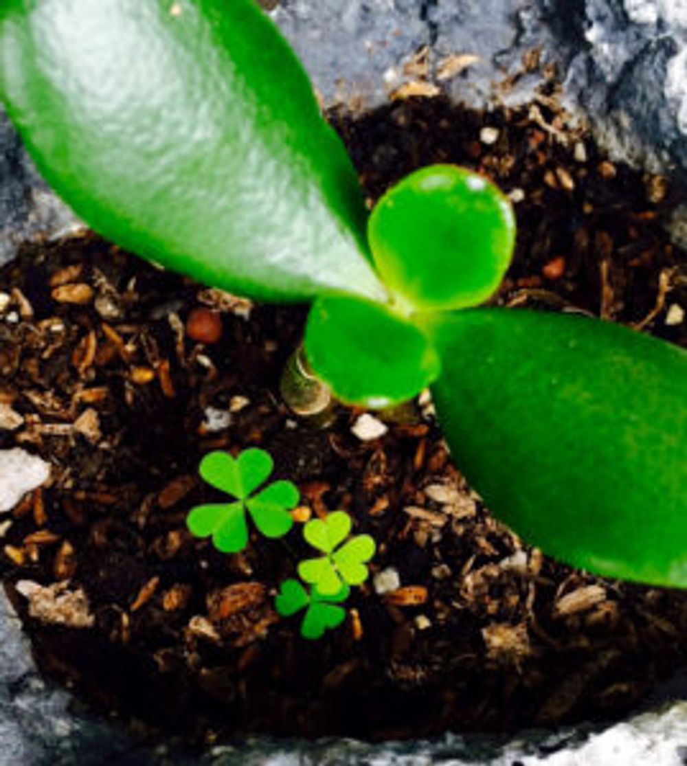 Photo by DEEPBLUEさん