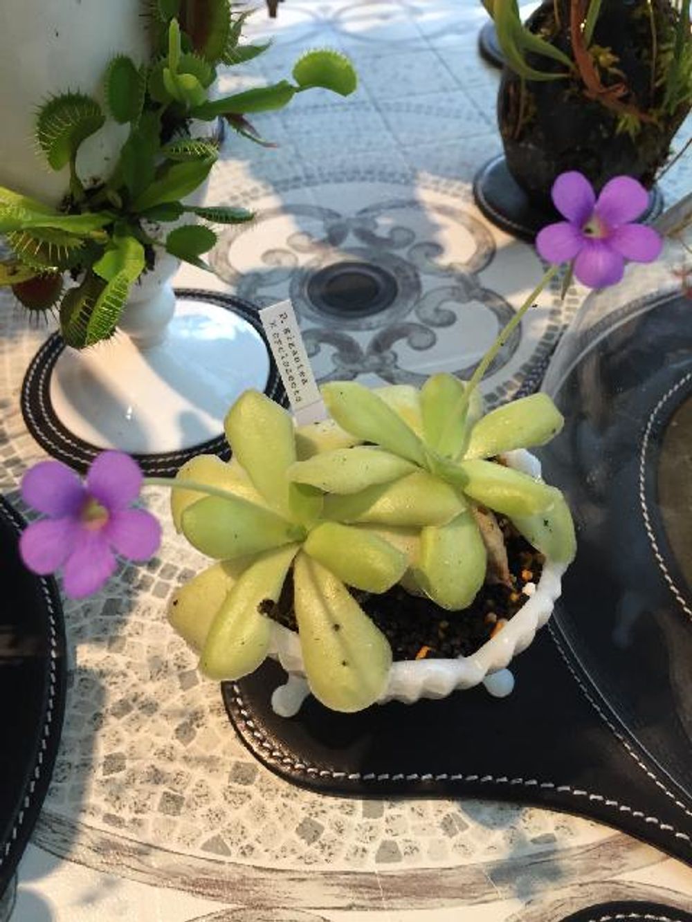 Photo by 木谷美咲さん