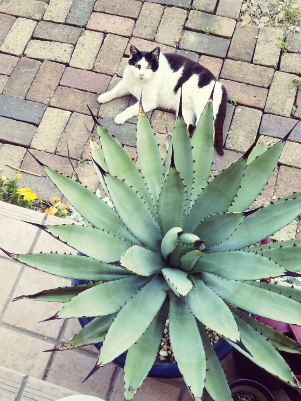 Photo by すら子さん