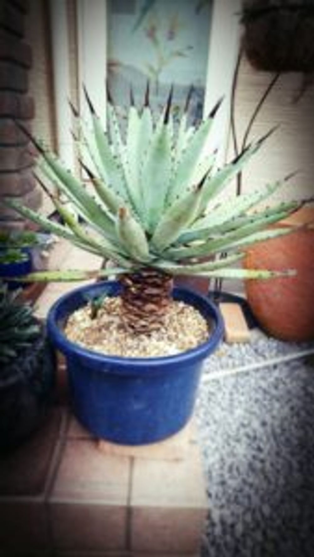 Photo by すら子さん