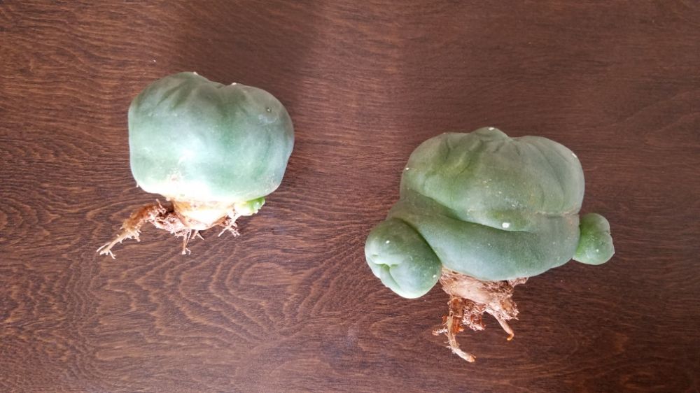 Photo by たーさん