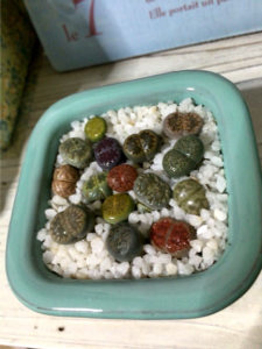 Photo by エメラルドgreenさん