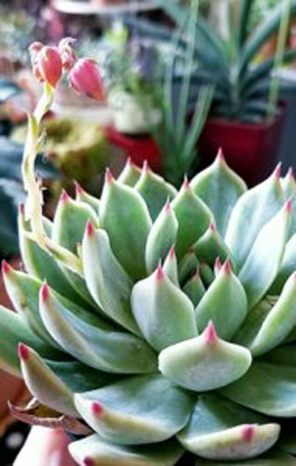 Photo by RUka77さん