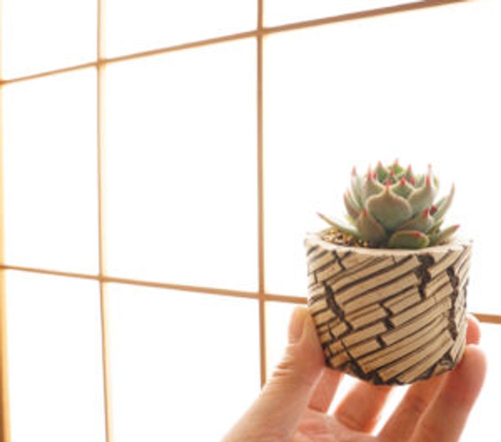 Photo by みやきさん