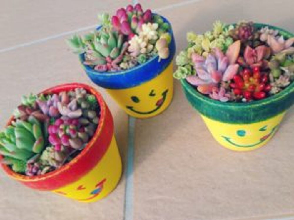 Photo by ＊＊tomoさん