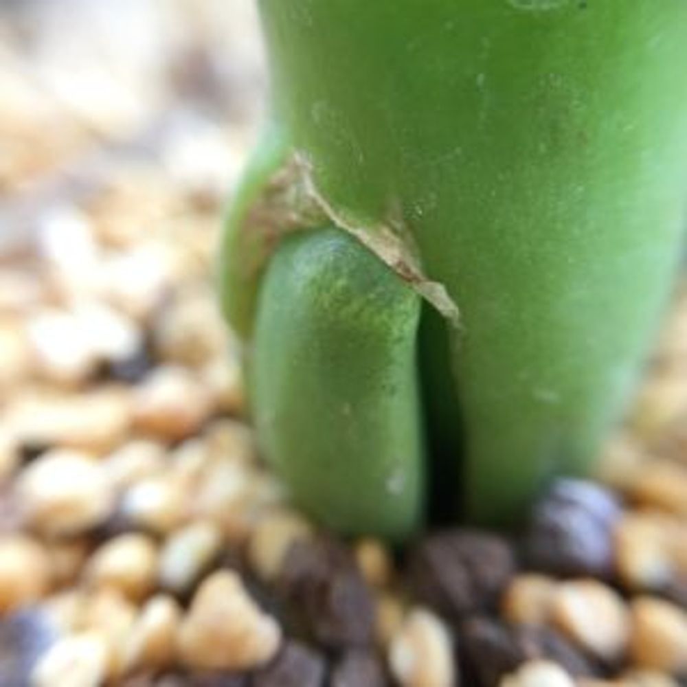 Photo by happymenu_tupi*さん