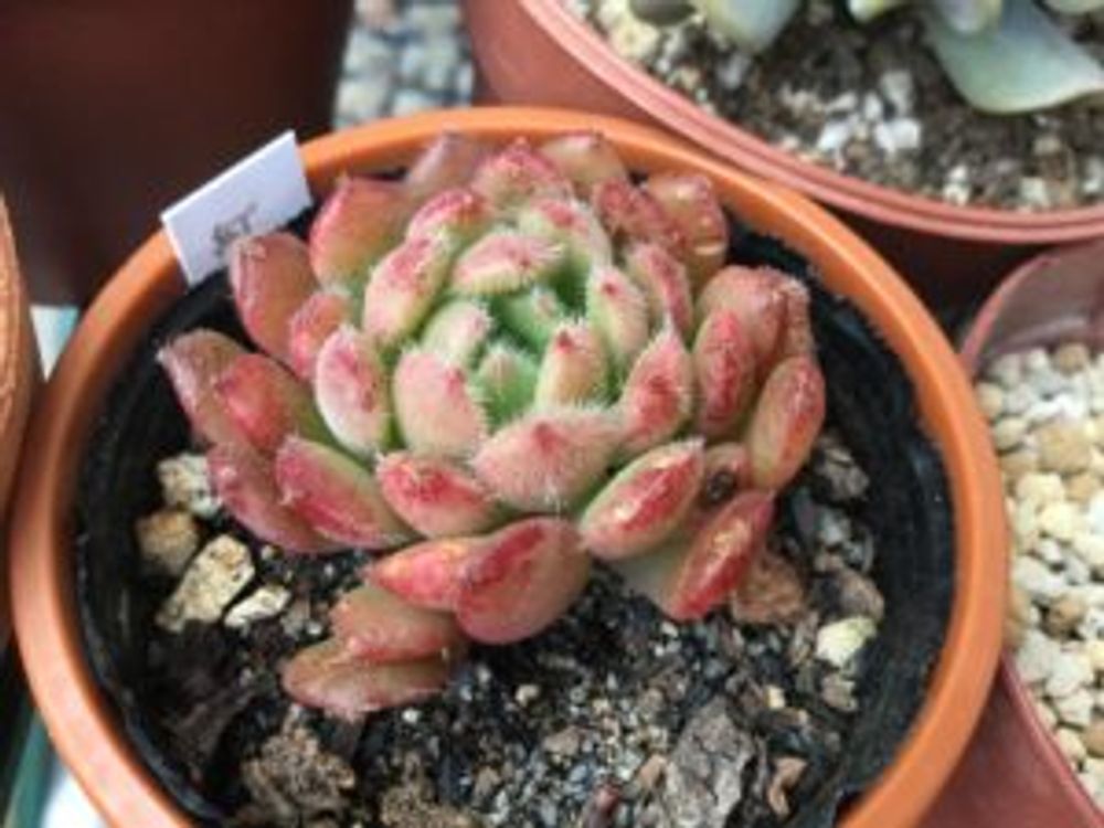 hoto by 自然大好きさん