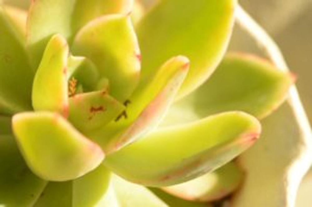 Photo by ekko.yさん