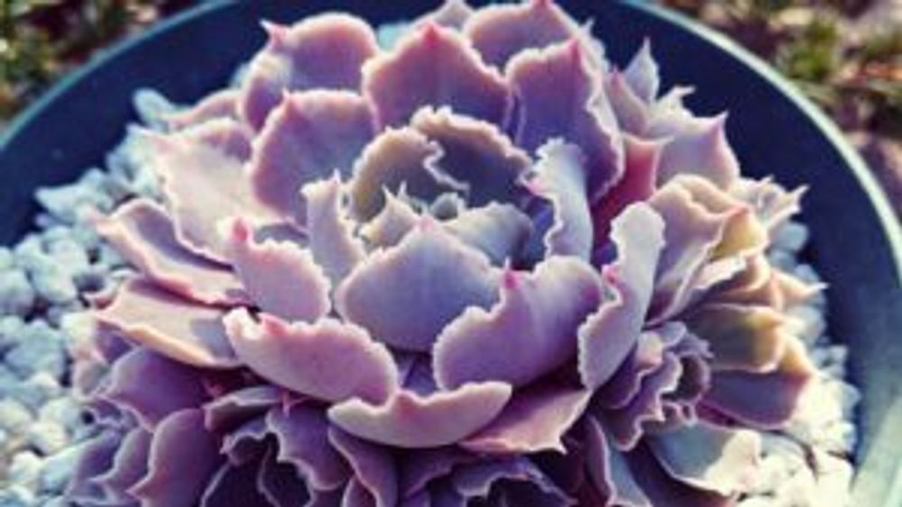 Photo by p～ちゃんさん