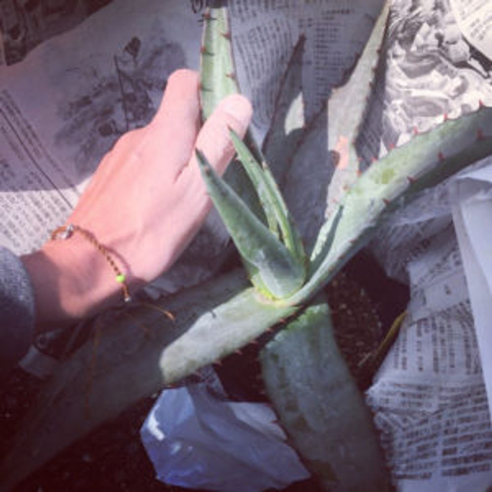 Photo by はんぺんさん