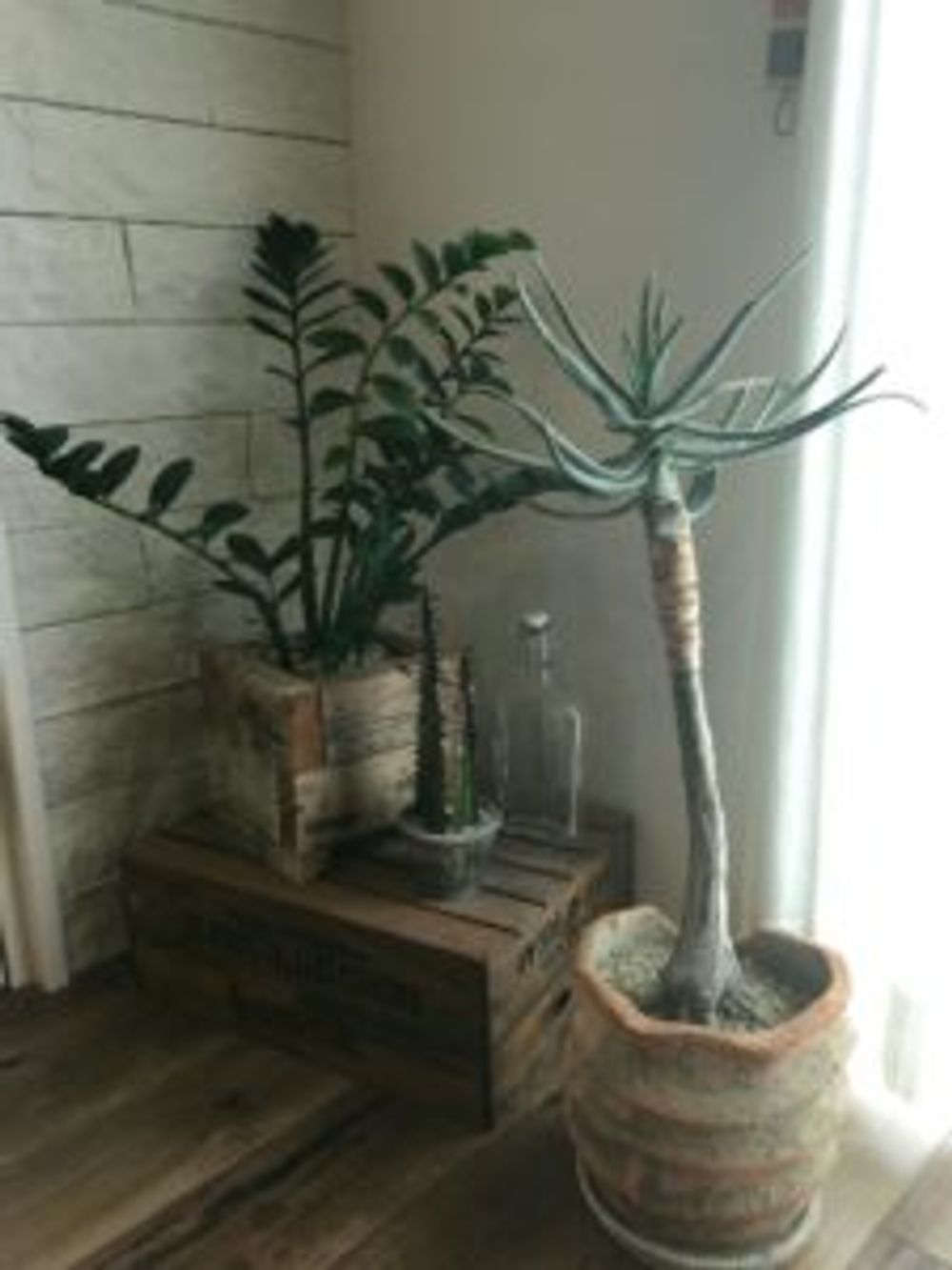 Photo by たへーさん