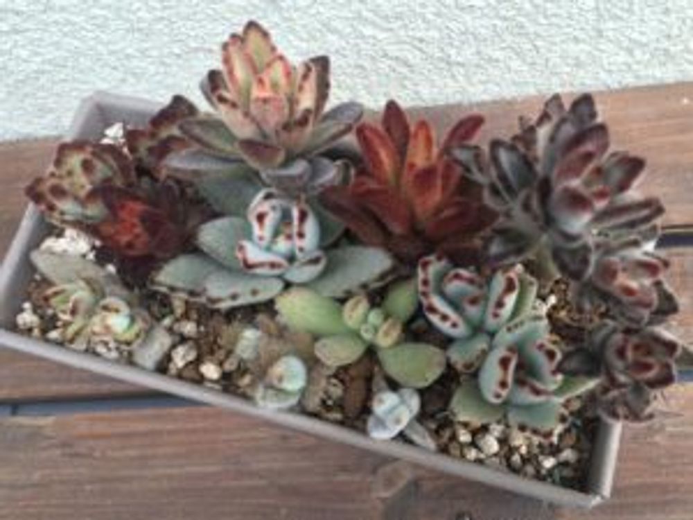 Photo by デコさん