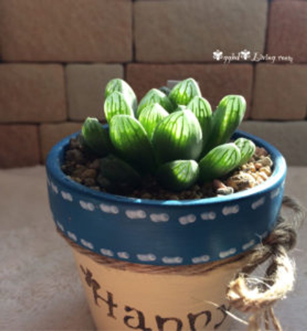 >Photo by ❃gghd❃ さん