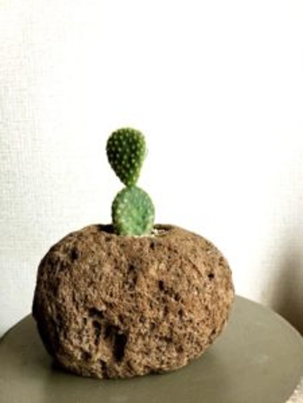 Photo by ジョゼさん