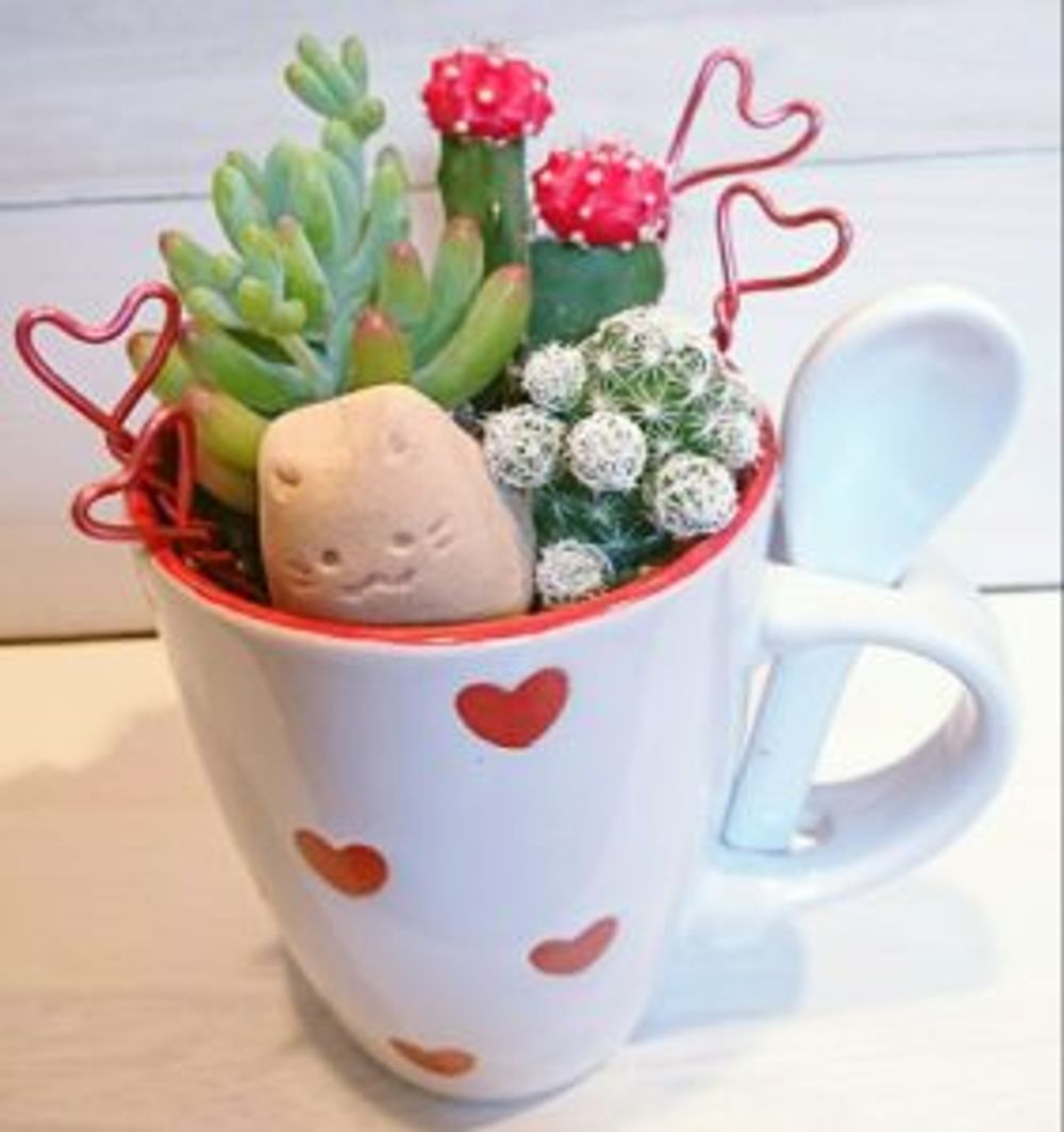 Photo by 杢-mokuさん