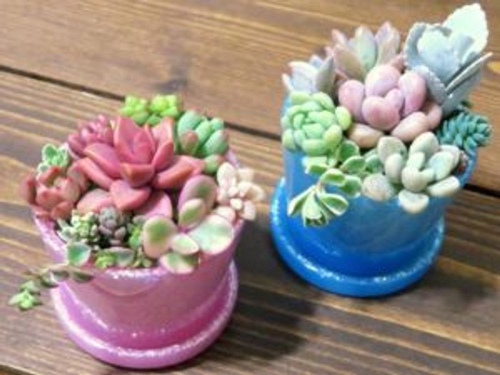 Photo by ぷくねこさん