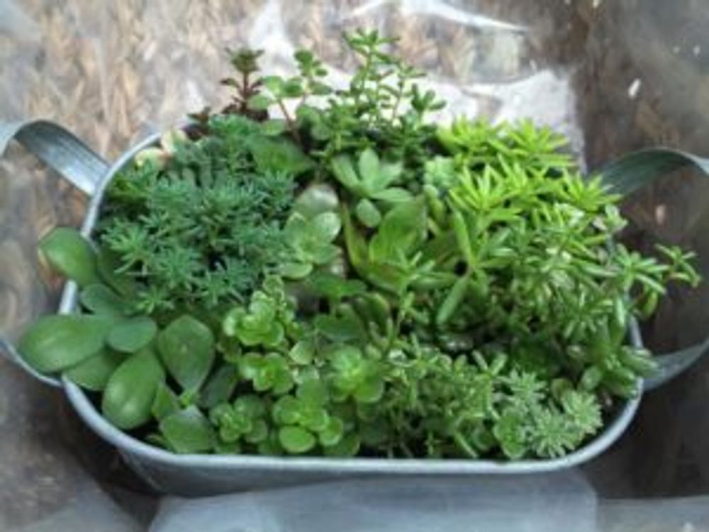 Photo by あずきさん