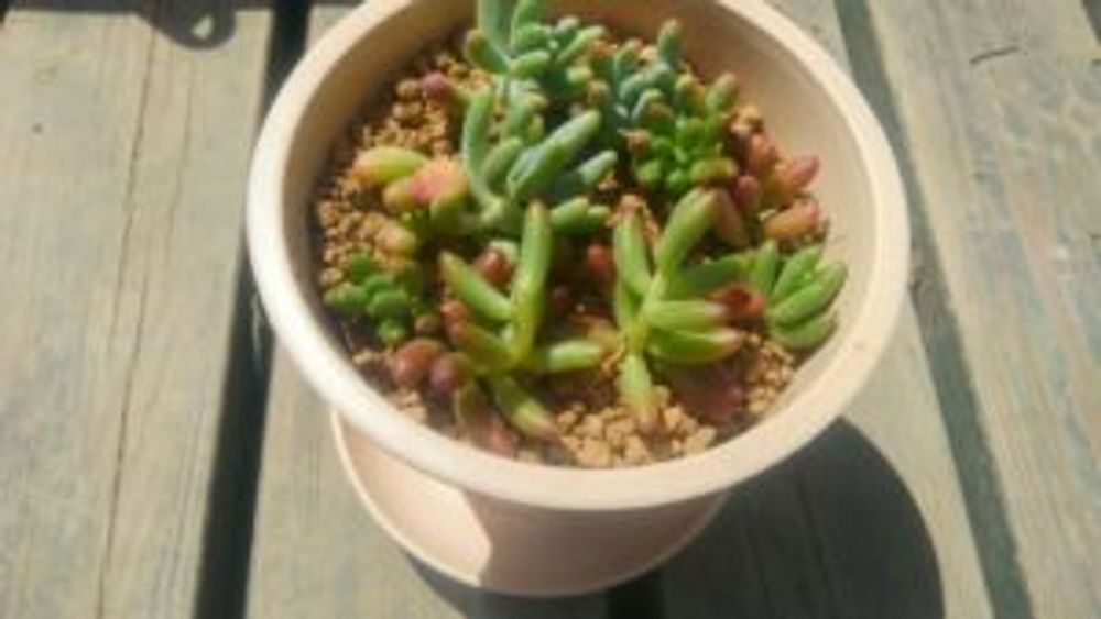 Photo by さいとうなつこさん