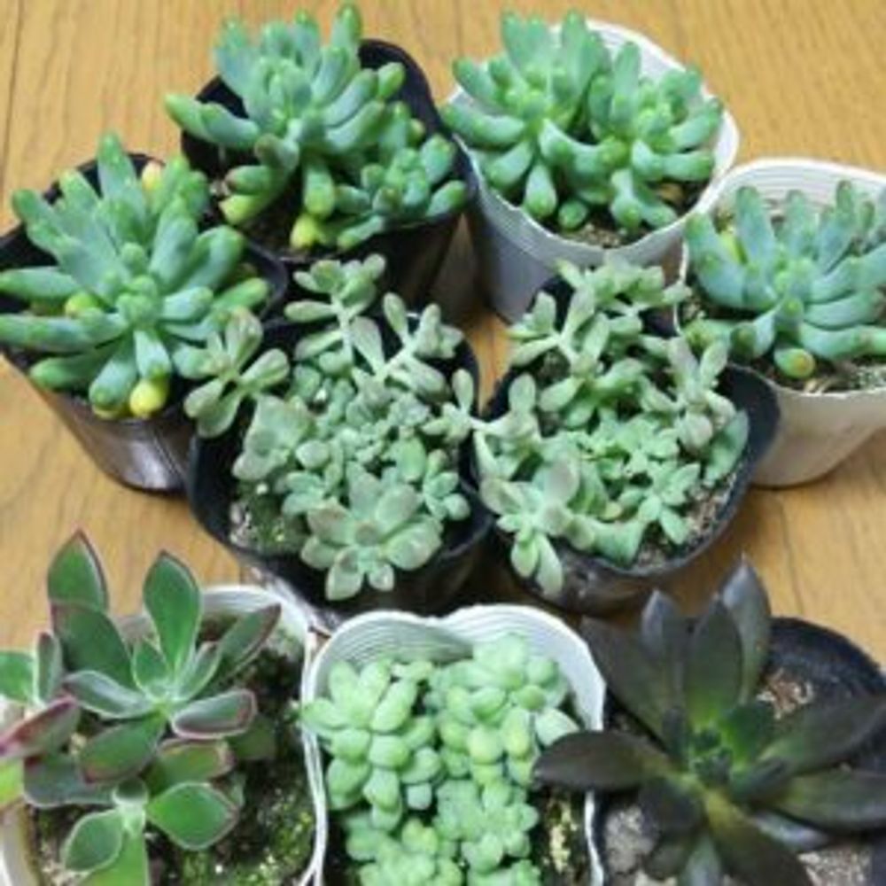 Photo by orokog_emoto12さん