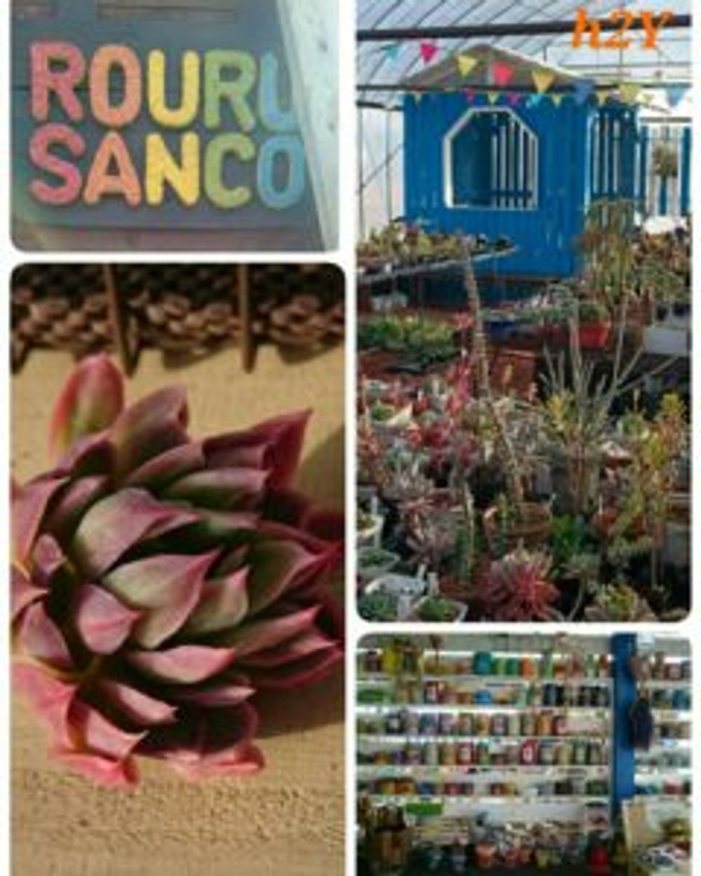 Photo by ひめぴろさん