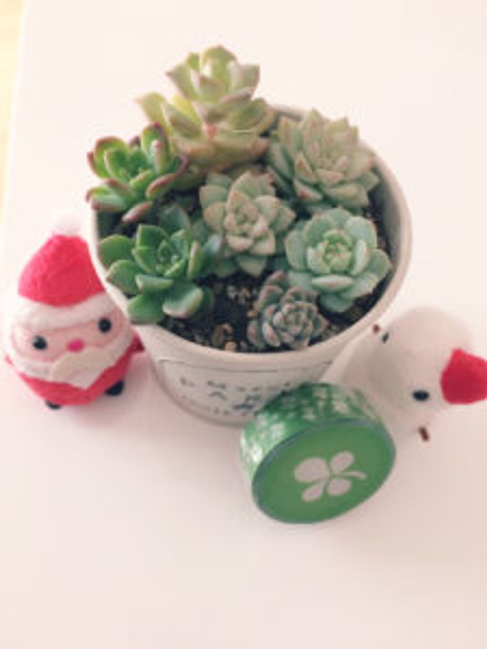 Photo by ひぃさん