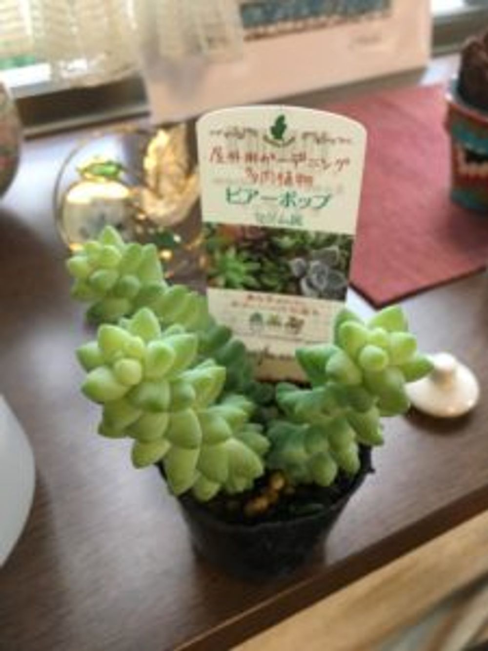 Photo by hirohiyoさん