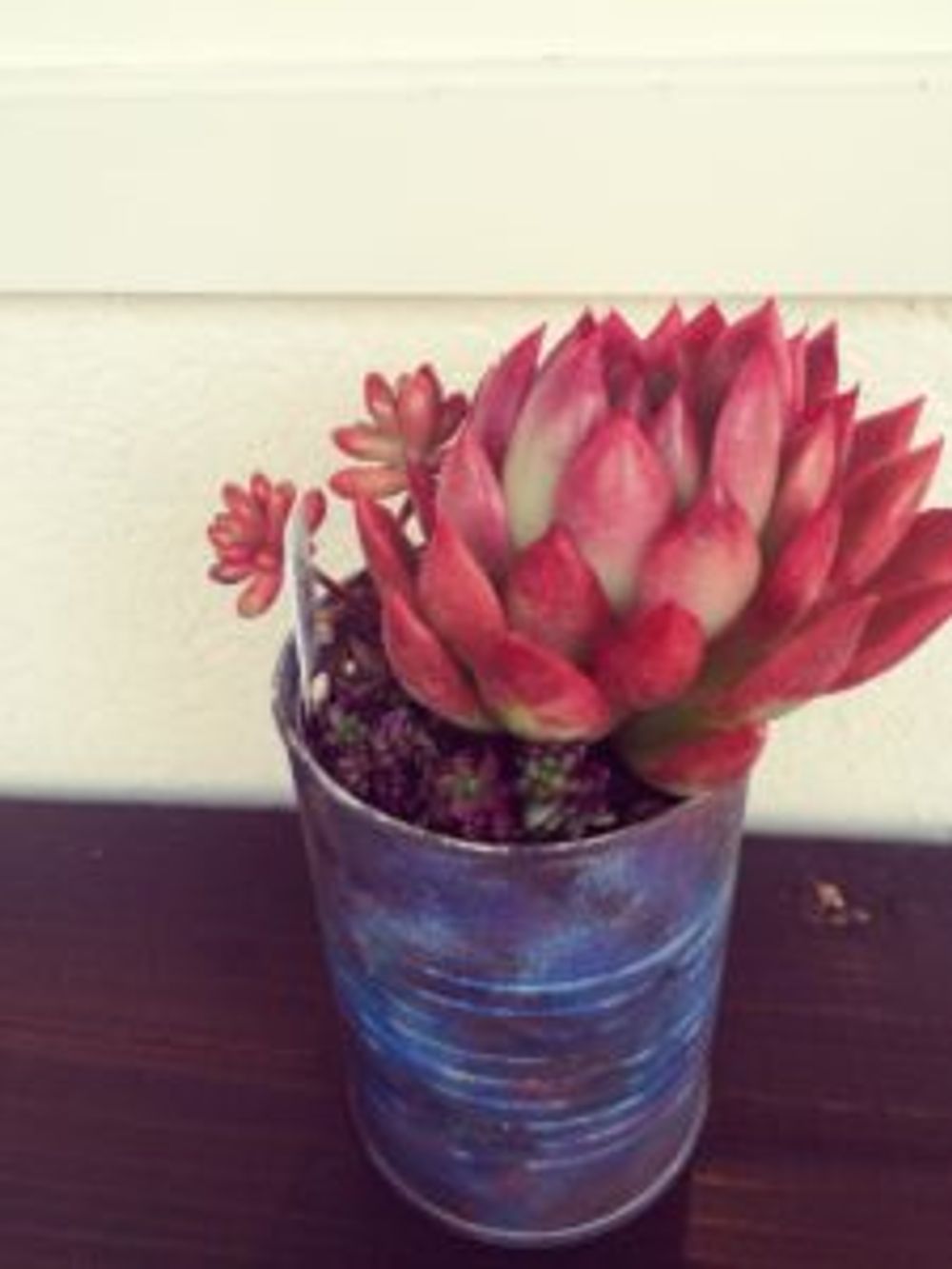 Photo by RYO.29さん