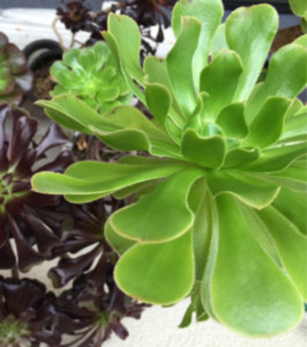 Photo by ashiyaaanさん