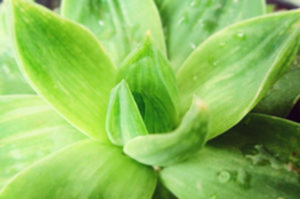 Photo by COCO72さん