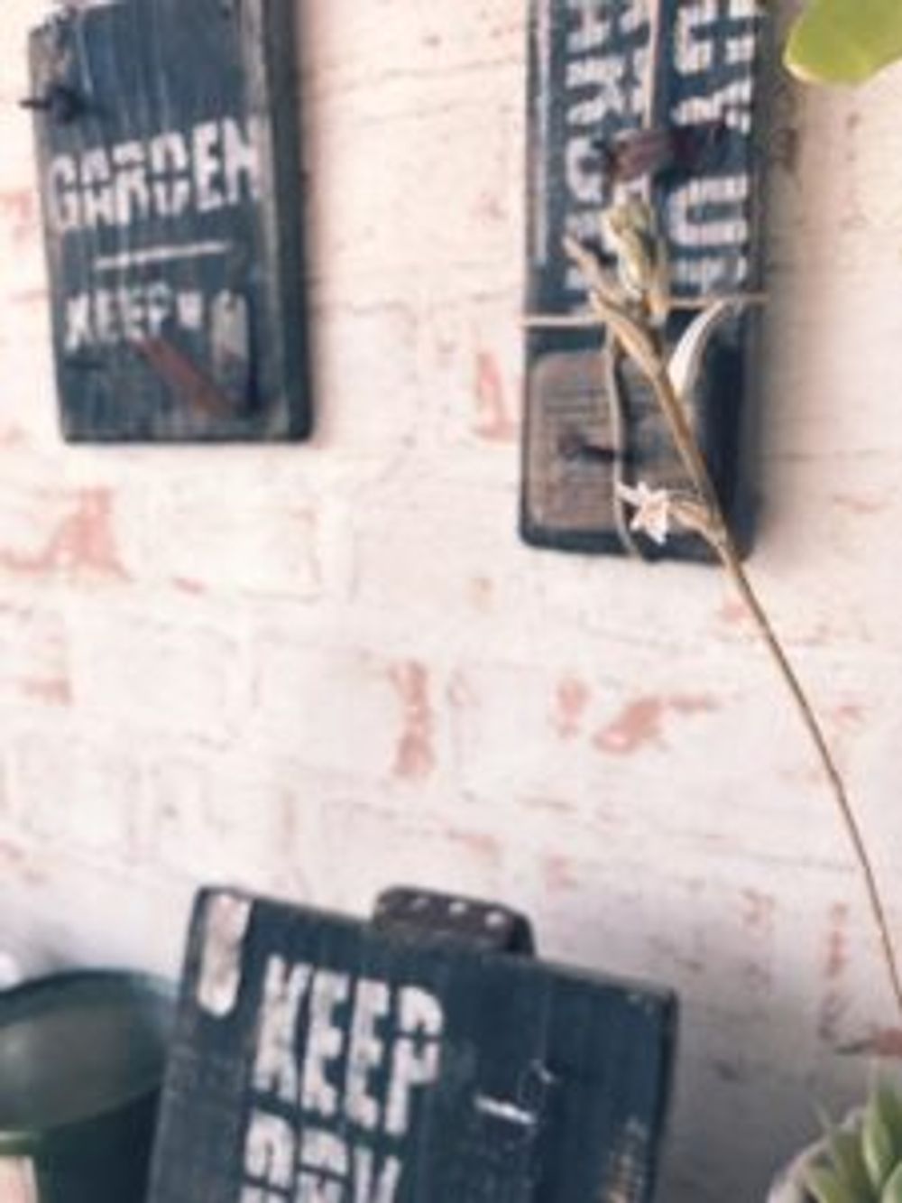 Photo by namisanさん