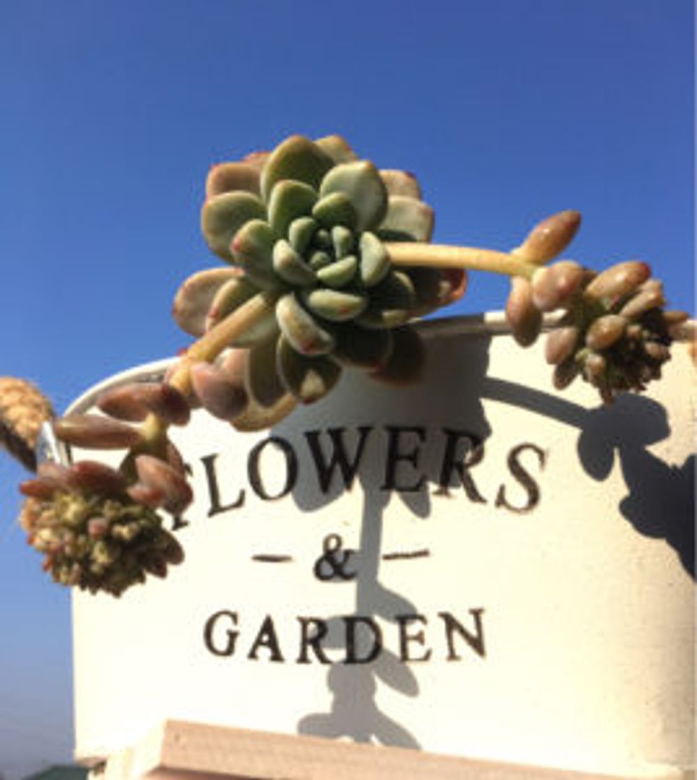 Photo by ノンさん