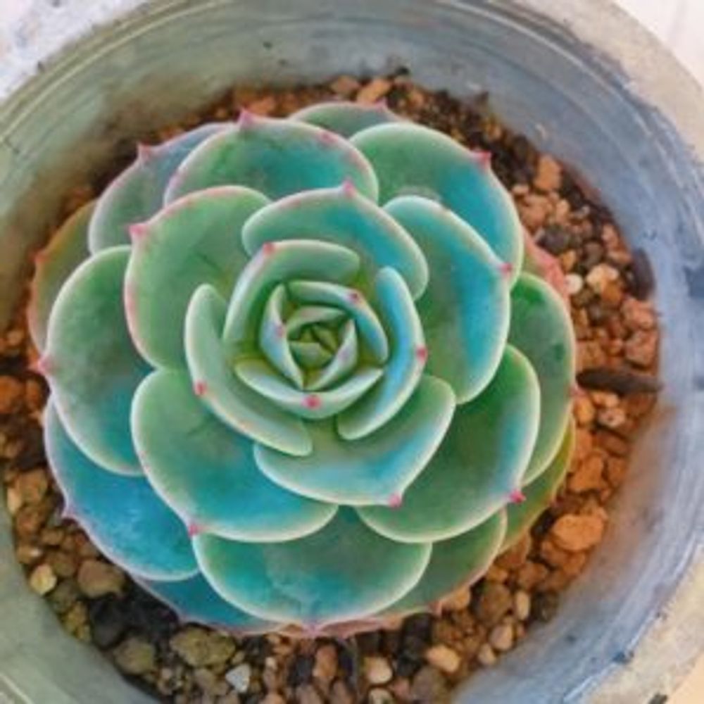 Photo by uoochan♡さん