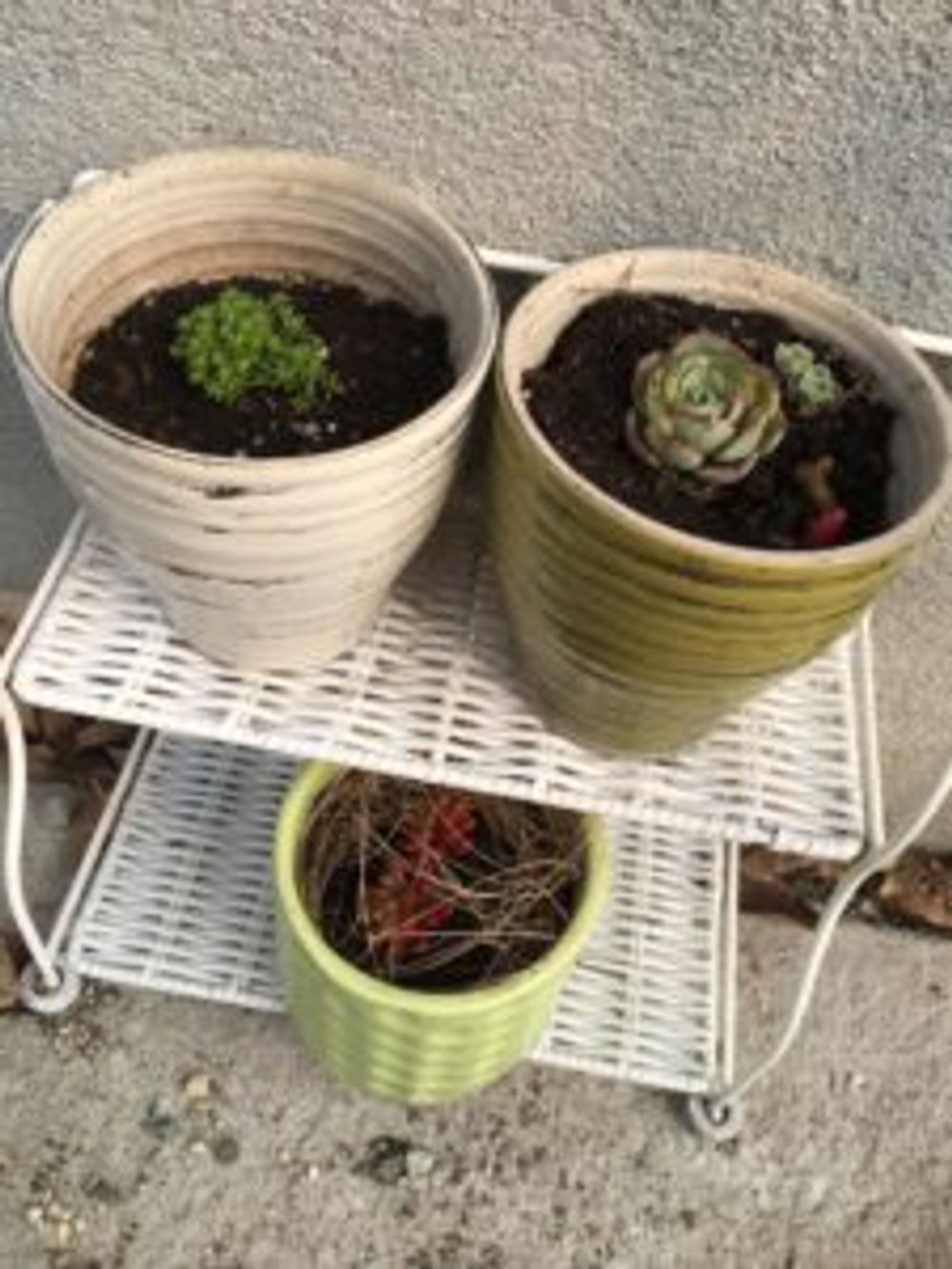 Photo by miwakaさん