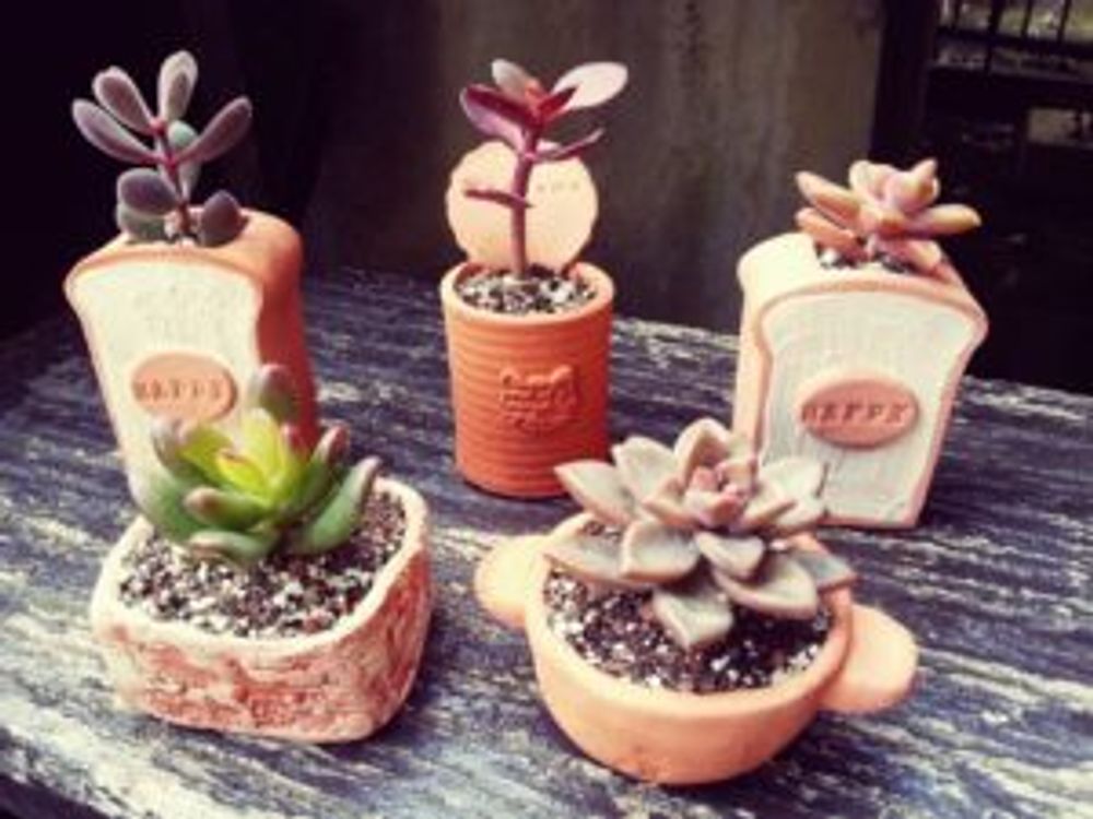 Photo by tsukiさん