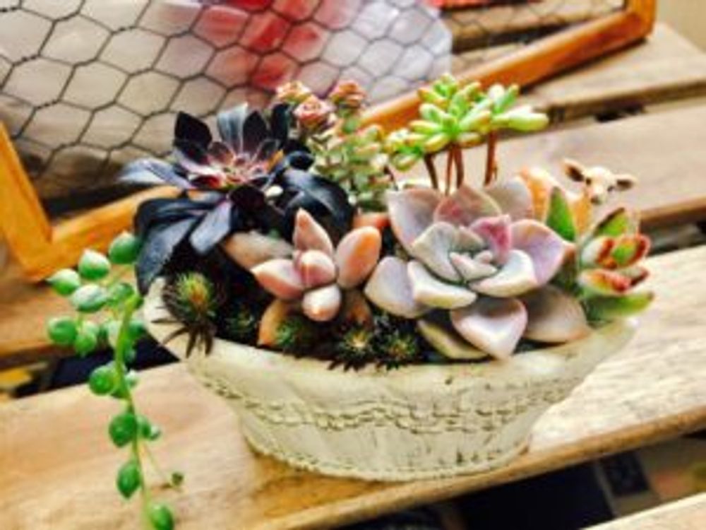 Photo by makko◡̈*✩°｡⋆さん