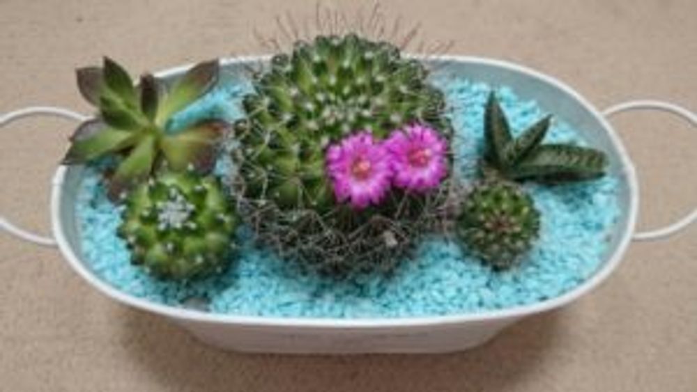 Photo by あいさん