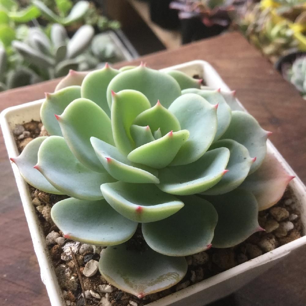 Photo by curio_1649さん